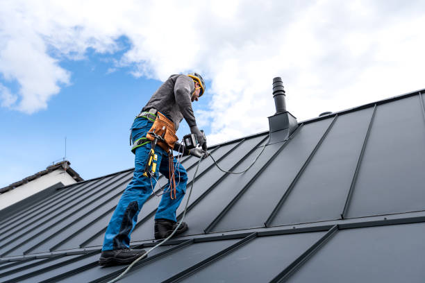 Best Roof Maintenance and Cleaning  in Mount Holly Springs, PA